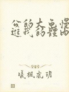 公的大龟慢慢挺进我的体内