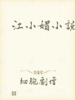 江小媚小说