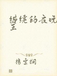 缠绕的夜晚双男主封面