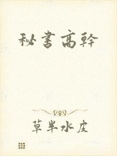 秘书高干