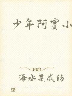 少年阿宾小说封面