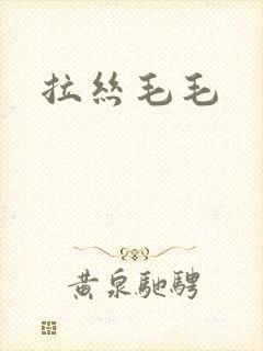 拉丝毛毛