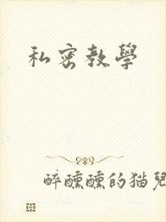 私密教学