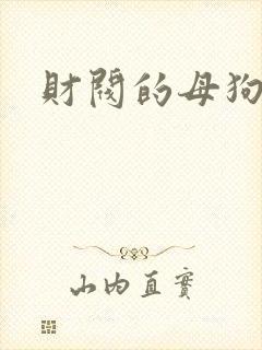 财阀的母狗们封面