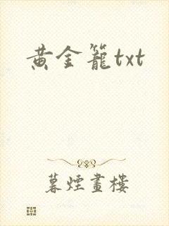 黄金笼txt
