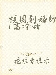 校园到婚纱1V1高冷甜