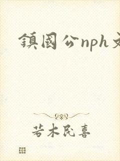 镇国公nph文