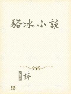 骆冰小说