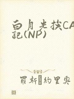 白月光挨CAO记(NP)