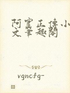 阿宾正传小说全文笔趣阁