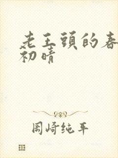 老王头的春天林初晴