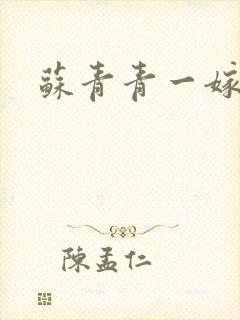 苏青青一嫁三夫