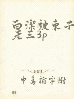 白洁被东子老二老三3p