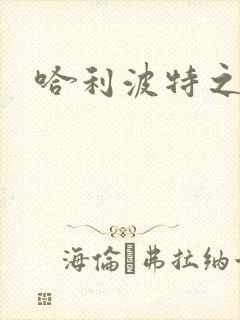 哈利波特之守护