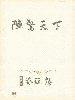 阵惊天下封面