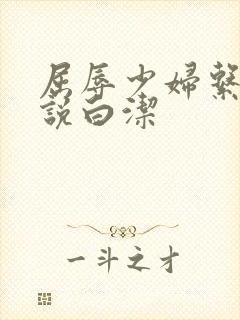 屈辱少妇系列小说白洁封面