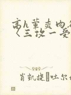 高h荤爽肉欲文〈三攻一受