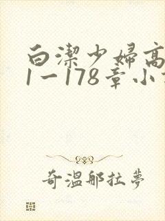 白洁少妇高义第1一178章小说封面