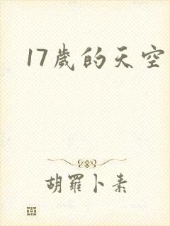17岁的天空