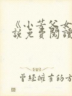 《小芳父女》小说免费阅读