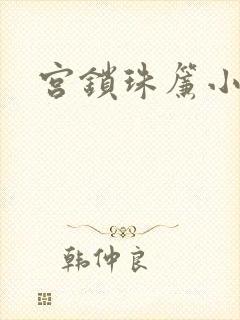 宫锁珠帘小说封面