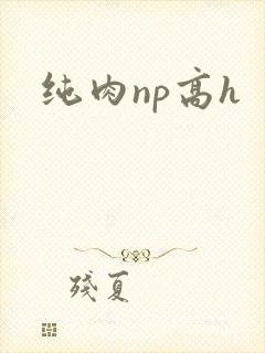纯肉np高h封面