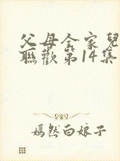 父母全家儿女大联欢第14集封面