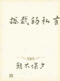 总裁的私有宝贝