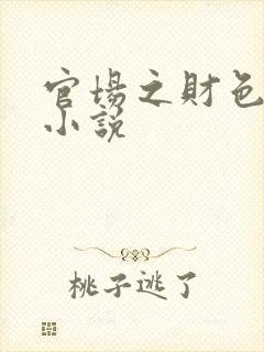 官场之财色诱人小说