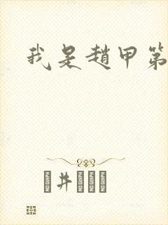 我是赵甲第小说