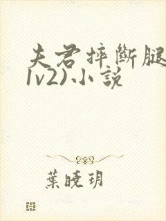 夫君摔断腿后(1v2)小说