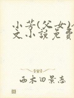 小芳(父女)全文小说免费阅读封面