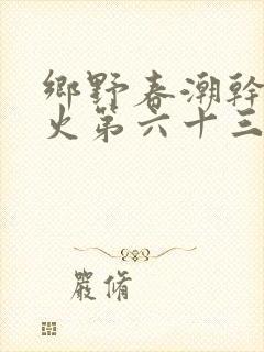 乡野春潮干柴烈火第六十三章