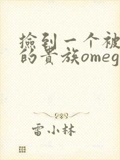 捡到一个被抹布的贵族omega