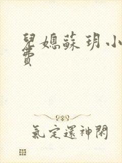 儿媳苏玥小说免费