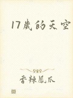 17岁的天空