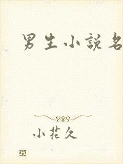 男生小说名字封面