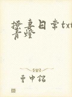撩妻日常txt青灯