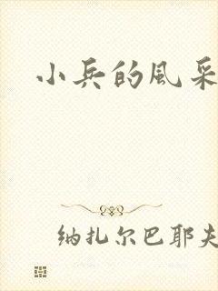 小兵的风采封面