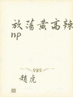放荡黄高辣h文np