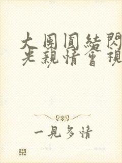 大团圆结闪闪发光亲情会视频