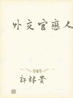 外交官恋人小说
