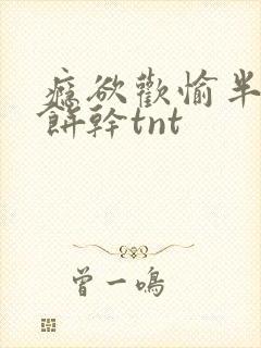 瘾欲欢愉半块小饼干tnt