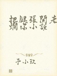 把腿张开老子臊烂你小说