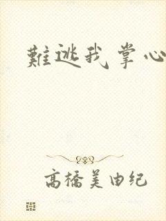 难逃我掌心封面