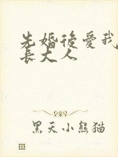 先婚后爱我的市长大人封面