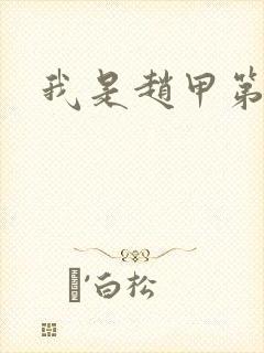 我是赵甲第小说