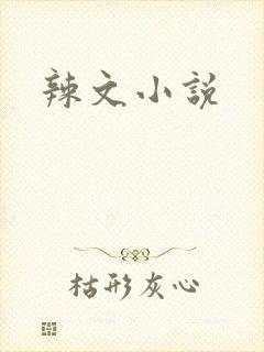 辣文小说
