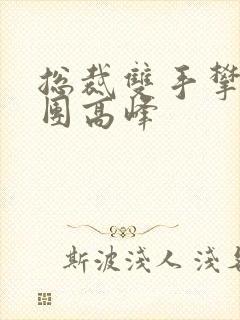 总裁双手攀上两团高峰封面