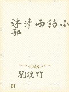 沐清雨的小说全部